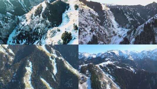 高山雪原 雪山 雪岭云杉高清在线视频素材下载