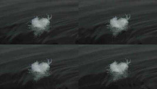 2K白色羽绒漂浮在水面上高清在线视频素材下载