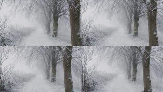 雪域林地白雪覆盖的人行道上的追踪镜头高清在线视频素材下载