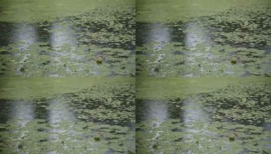 雨滴落在水面上高清在线视频素材下载