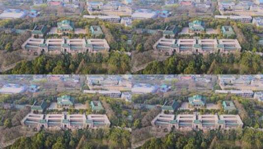 武汉大学樱花城堡航拍高清在线视频素材下载