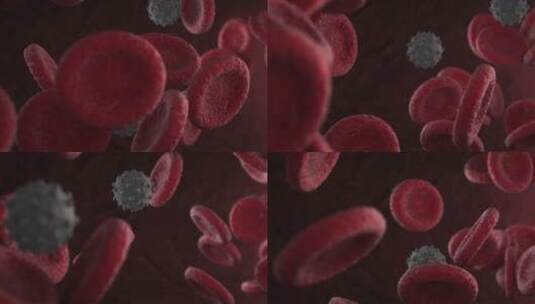 病毒 细胞 细菌 红细胞 癌症 癌细胞高清在线视频素材下载