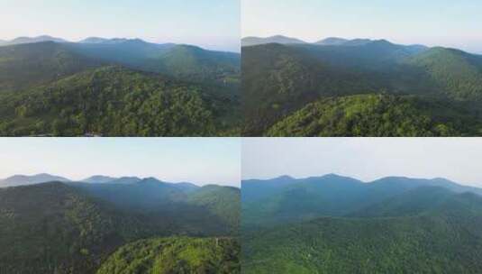 森林风景航拍合集高清在线视频素材下载