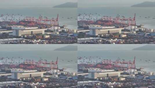 航拍蛇口赤湾港集装箱码头高清在线视频素材下载
