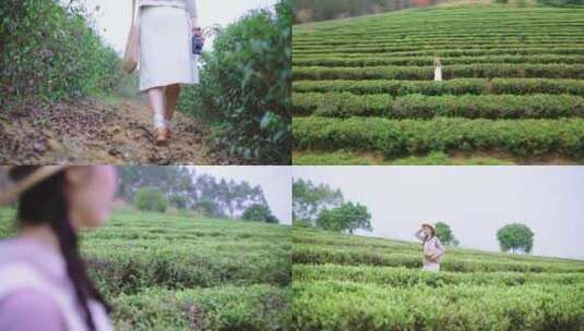 茶园清新广告人像拍摄绿茶春茶高清在线视频素材下载