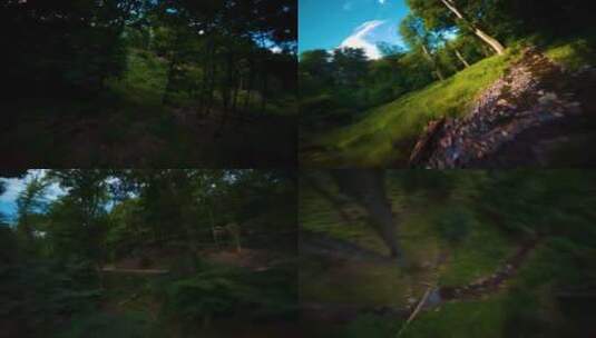 航拍森林FPV树林林中小路林中公路河流小溪高清在线视频素材下载
