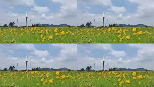 户外自然风光风车与遍地的野花高清在线视频素材下载
