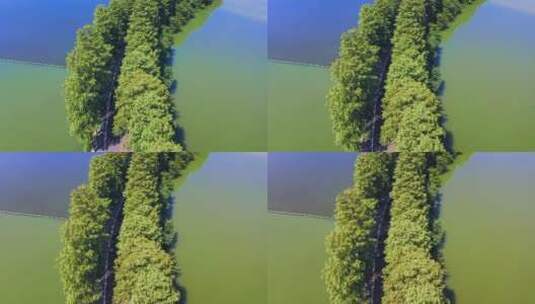 湖北武汉东湖自然景区航拍高清在线视频素材下载