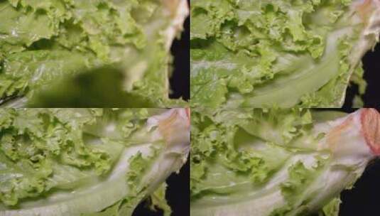 奶油生菜绿菜叶健康蔬菜高清在线视频素材下载