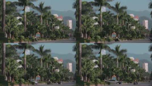 云南德宏芒市棕榈树街景高清在线视频素材下载
