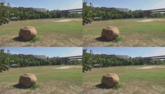 公园草地上的石头高清在线视频素材下载