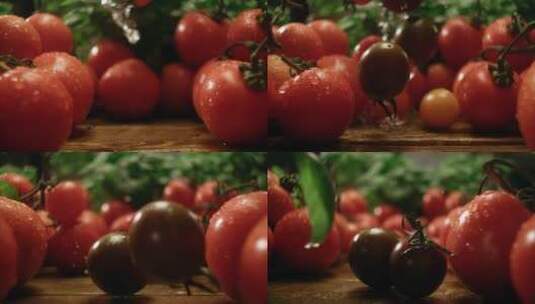 番茄圣女果慢镜头特写高清在线视频素材下载