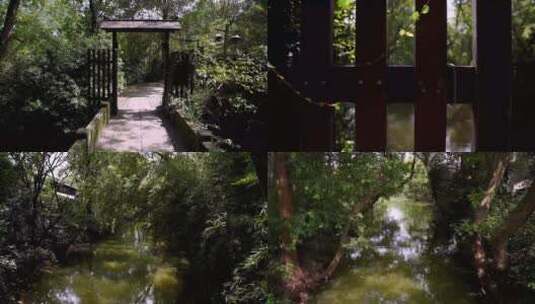 杭州国家西溪湿地公园照谏桥4K视频合集高清在线视频素材下载