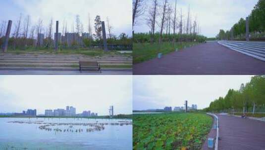 武汉江夏中央大公园风光4K视频合集高清在线视频素材下载