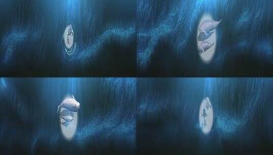 海底江豚唯美海浪高清在线视频素材下载