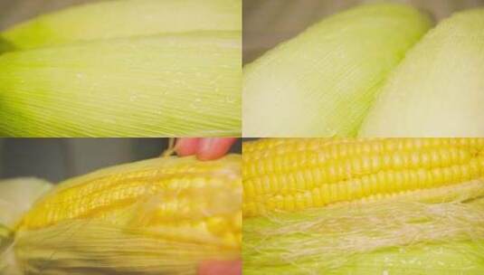 农作物农产品嫩玉米4K实拍高清在线视频素材下载