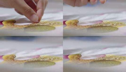 传统技艺刺绣高清在线视频素材下载