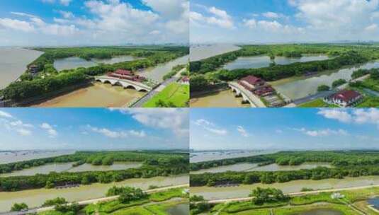 广州南沙湿地公园航拍延时高清在线视频素材下载