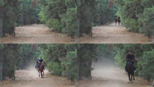 威海松林中策马奔腾的骑手高清在线视频素材下载