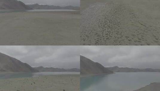西藏-羊卓雍错湖（羊群、牦牛）（D-log）高清在线视频素材下载