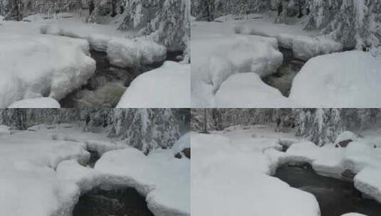 森林冬季雪高清在线视频素材下载