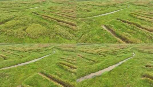 草地航拍湿地草原俯拍草地穿梭贴草地飞行高清在线视频素材下载