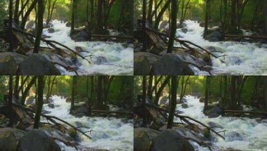 绿色森林中湍急的河流溪流流水高清在线视频素材下载