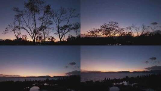 穿过树林看黄昏天空下的湖泊高清在线视频素材下载