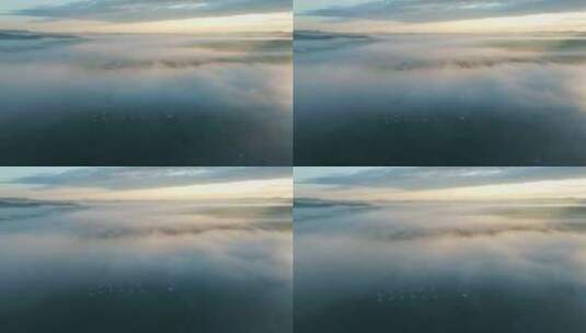 航拍呼伦贝尔草原夏季日出云雾美景高清在线视频素材下载