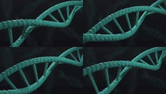 循环中的DNA动画高清在线视频素材下载