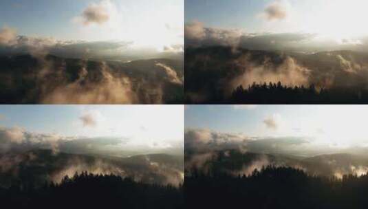 迷雾环绕云雾缭绕树林低角度航拍高清在线视频素材下载