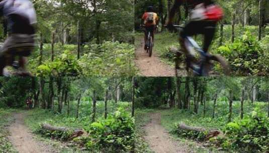 森林里自行车骑行车队高清在线视频素材下载
