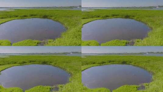 杭州钱塘大湾区湿地公园升格航拍视频高清在线视频素材下载
