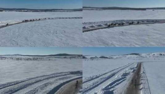 内蒙古冬季雪原马群奔跑赛马高清在线视频素材下载