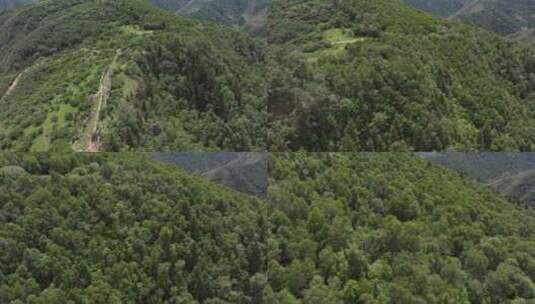 森林 青山绿水 天然氧吧高清在线视频素材下载