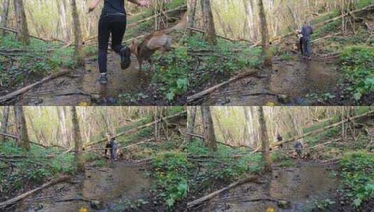 一个女人和一个女孩带着他们的狗在森林里跑高清在线视频素材下载