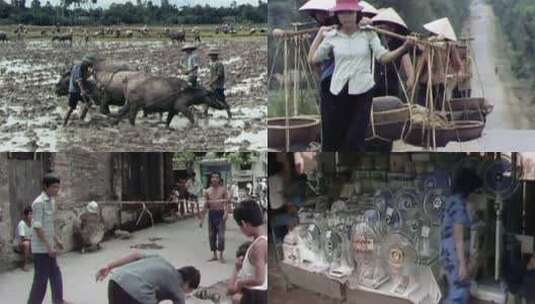 60-70年代东南亚越南乡村居民稻田劳动高清在线视频素材下载