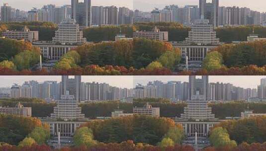 航拍城市落叶秋景西安交通大学高清在线视频素材下载