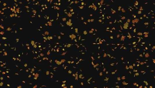 红色枫叶飘落高清在线视频素材下载