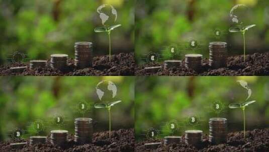 硬币 货币 土壤 幼苗高清在线视频素材下载