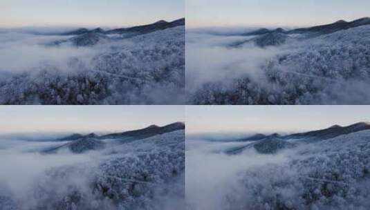 航拍被云雾笼罩的雪原高清在线视频素材下载
