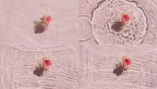 落玫瑰在水面上的缓慢运动和粉红色背景水上高清在线视频素材下载