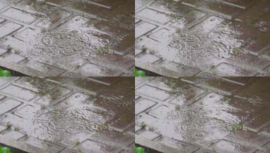夏日雨滴高清在线视频素材下载