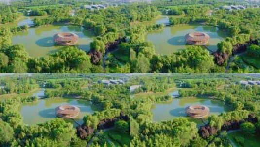 西安灞桥湿地公园高清在线视频素材下载