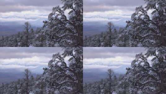 雪山森林天际线景观高清在线视频素材下载