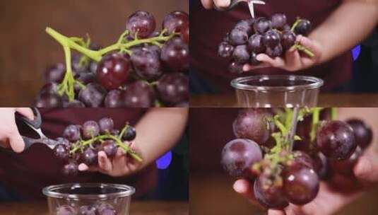 【镜头合集】微距葡萄杆葡萄串高清在线视频素材下载