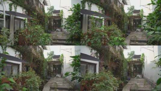 杭州小河直街历史文化街区风景高清在线视频素材下载