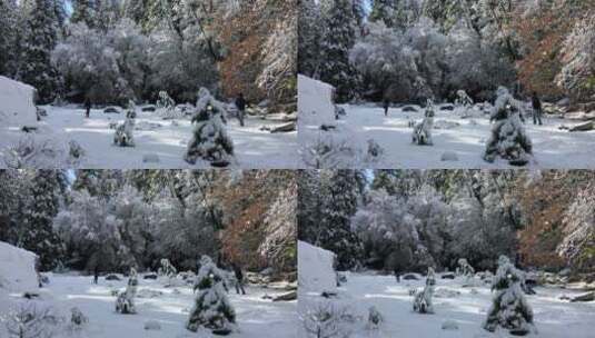 雪地森林里面打雪仗高清在线视频素材下载