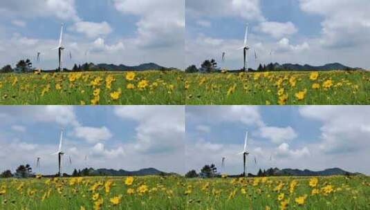 户外自然风光风车与遍地的野花高清在线视频素材下载