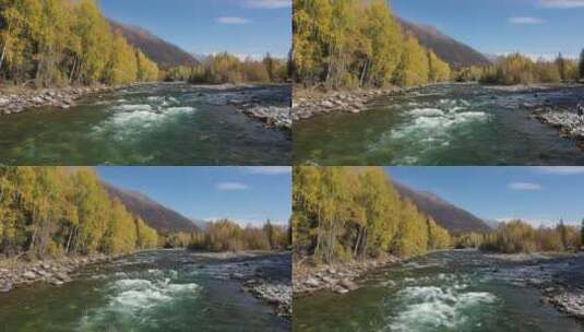 新疆阿勒泰禾木河宽广的河流高清在线视频素材下载